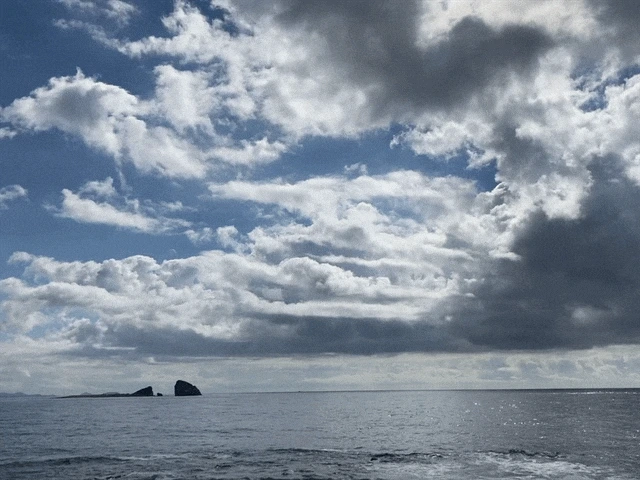 IMG_2876.GIF?type=w1