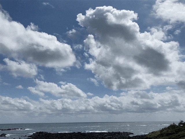 IMG_2996.GIF?type=w1