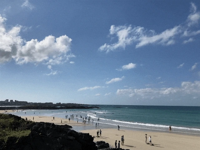 IMG_3011.GIF?type=w1