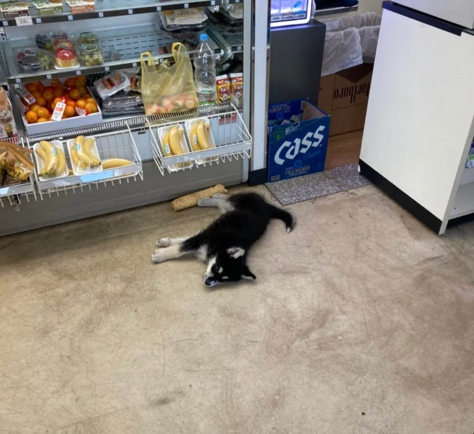 SE-a4cadb99-8542-4ee5-a596-3ae48b2864d1.jpg?type=w1