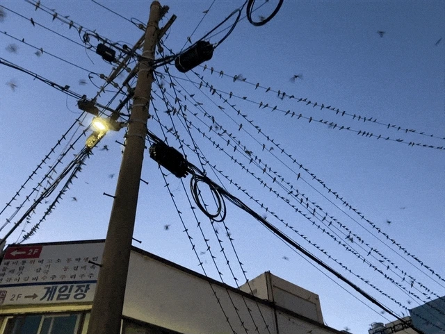 IMG_3016.GIF?type=w1