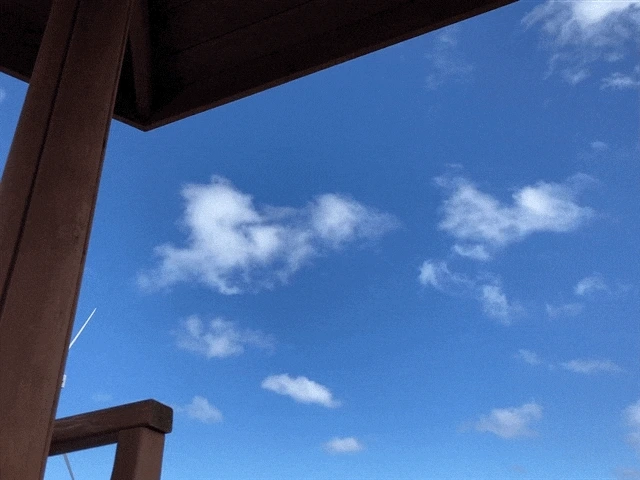 IMG_2999.GIF?type=w1