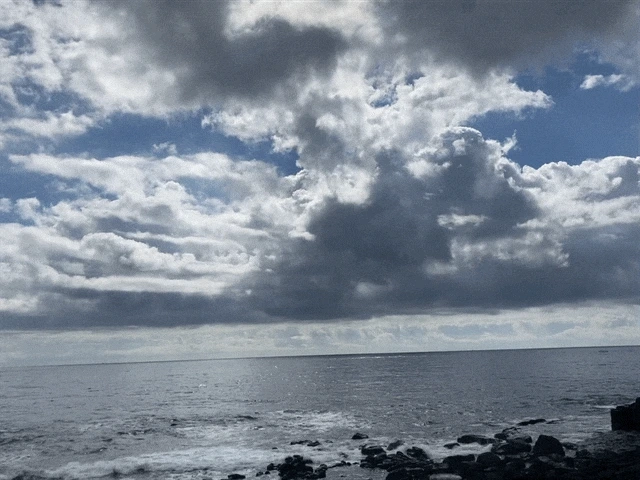 IMG_2873.GIF?type=w1