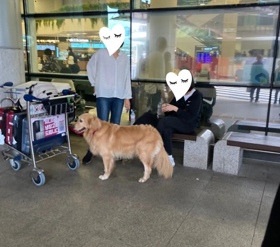 SE-0fd9cbef-0351-464e-a2cd-4c20f1506cc0.jpg?type=w1