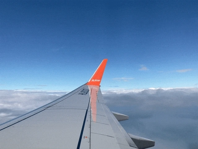 IMG_2702.GIF?type=w1