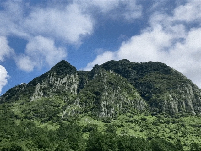 IMG_2947.GIF?type=w1