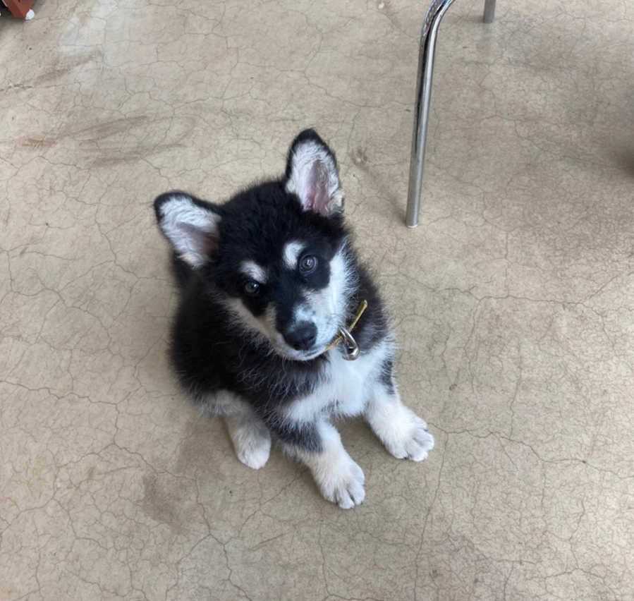 SE-9a7b14a3-dd06-4c2b-85af-7403bbd01f34.jpg?type=w1