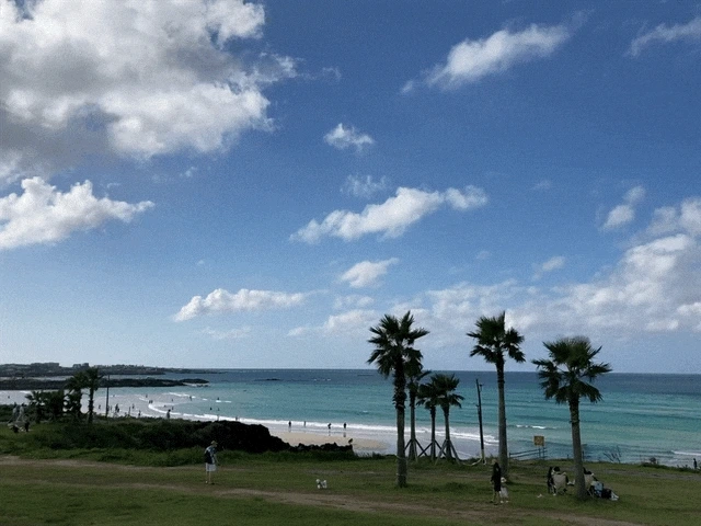 IMG_3006.GIF?type=w1