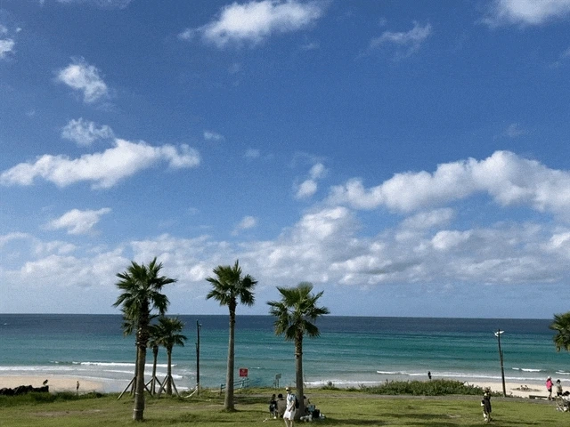 IMG_3002.GIF?type=w1