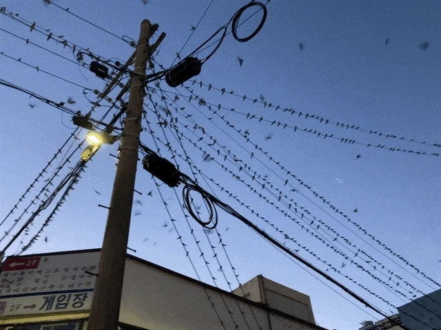 IMG_3015.GIF?type=w1