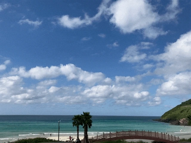 IMG_3005.GIF?type=w1