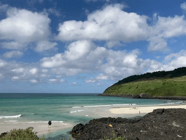 IMG_3013.GIF?type=w1