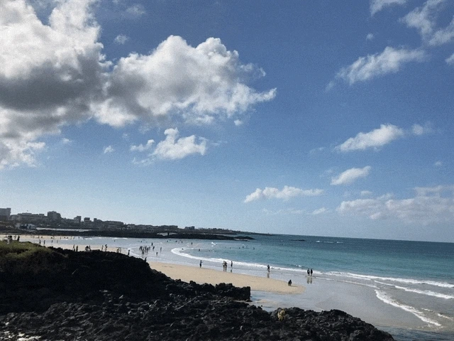 IMG_3009.GIF?type=w1