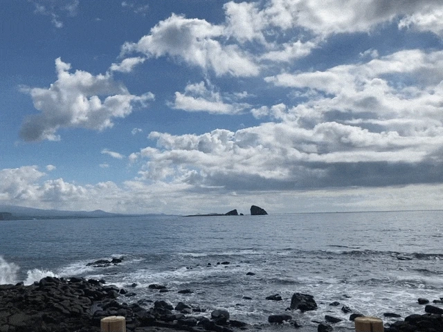 IMG_2871.GIF?type=w1