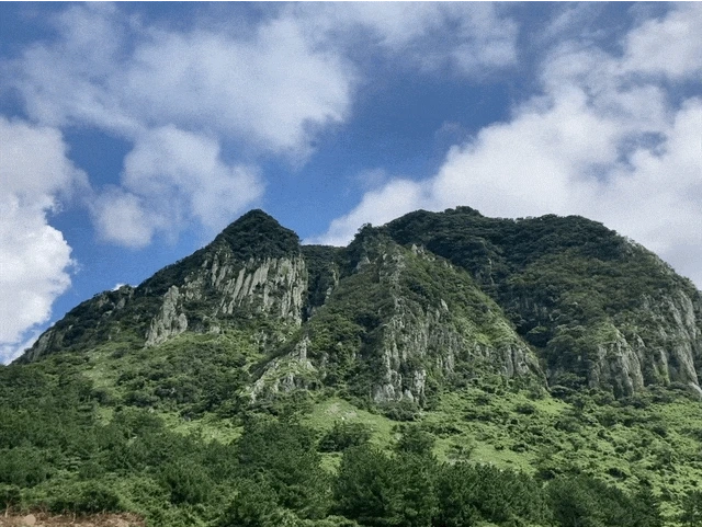 IMG_2948.GIF?type=w1