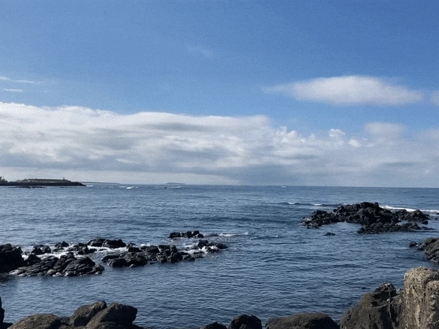 IMG_2864.GIF?type=w1