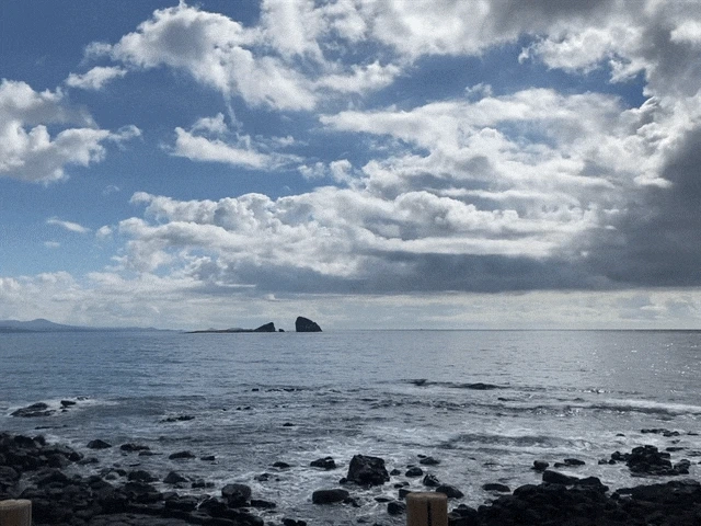 IMG_2875.GIF?type=w1