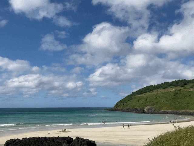 IMG_3007.GIF?type=w1