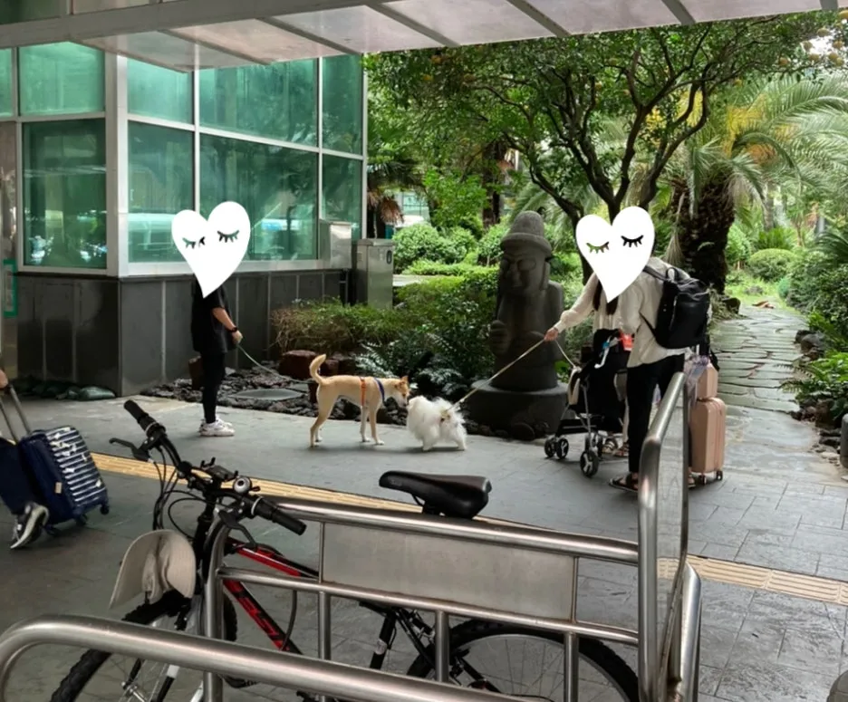 SE-e306a6a9-1d7c-4246-a92d-f379f06ced07.jpg?type=w1