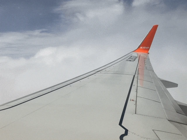 IMG_2628.GIF?type=w1