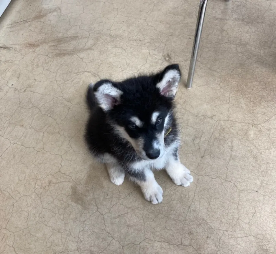 SE-910250eb-3d19-498a-a951-492ec8a4f733.jpg?type=w1