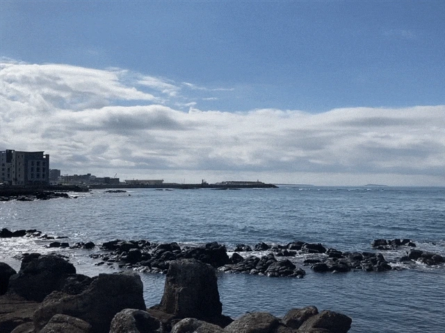 IMG_2863.GIF?type=w1