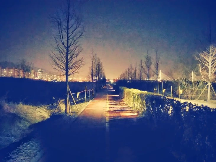 666a79e5476cf.jpg?imgSeq=26375