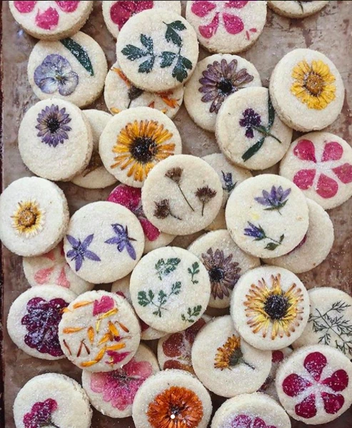 sub-buzz-20402-1520965567-1.png?downsize=700%3A%2A&output-quality=auto&output-format=auto