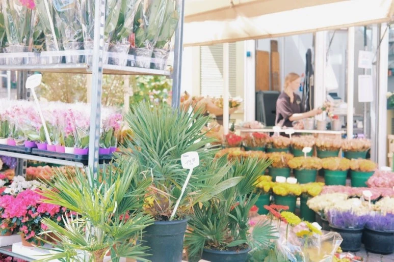 528961D7-7323-4206-8410-DEE703913725.jpg?type=w773