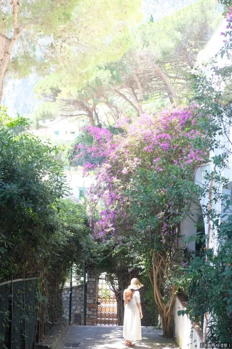 SE-cb934e29-c6ab-4c28-b7b4-dfabab839c75.jpg?type=w466