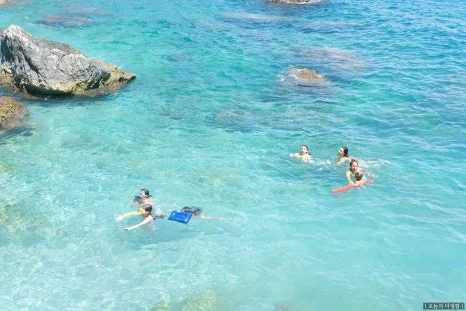 SE-1ebf3a9b-d132-40c9-8c62-8a47b8b2e951.jpg?type=w466