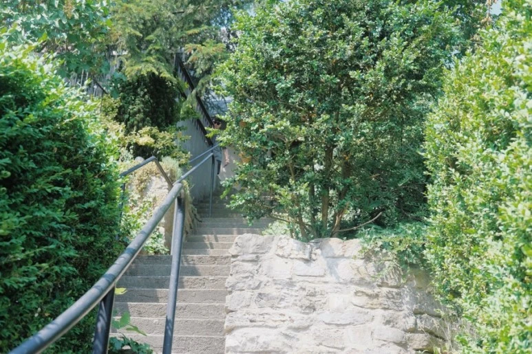 14843604-1888-446D-9264-CC53EE716C2D.jpg?type=w773