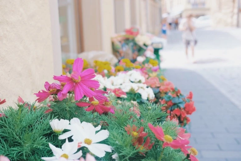 F7354568-1490-48E1-B917-F57D97F47B20.jpg?type=w773