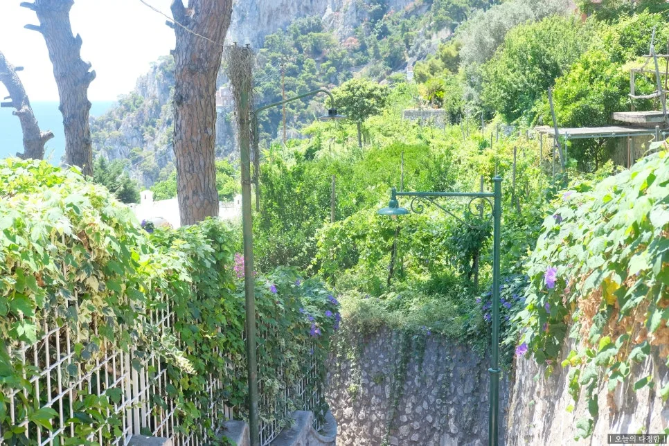 SE-faf00f74-5464-44fe-bd97-0d08cee3907e.jpg?type=w966