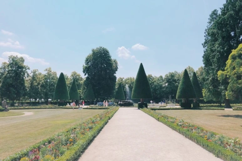 image_3472859421532514485336.jpg?type=w773