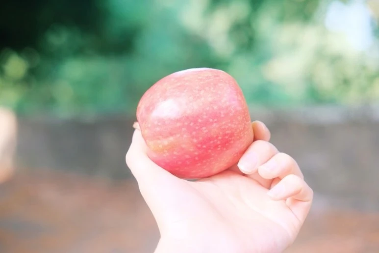 984040A6-6DBD-488F-B49F-95EE847D7162.jpg?type=w773