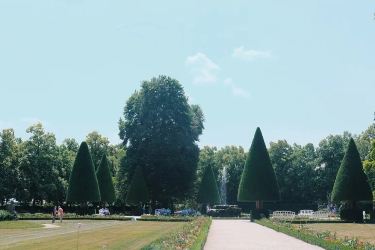 315C3CC4-A420-4921-860D-33044085CC16.jpg?type=w773