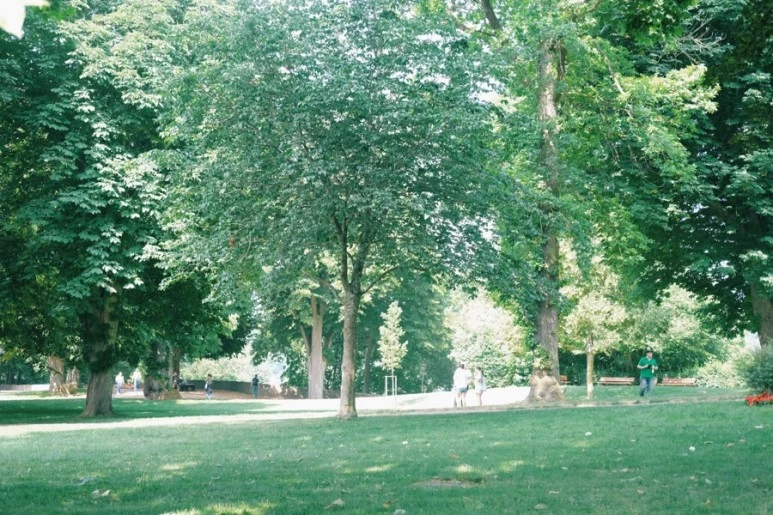 AA842ADE-5AC9-4009-B51A-6994A4FDB4CE.jpg?type=w773