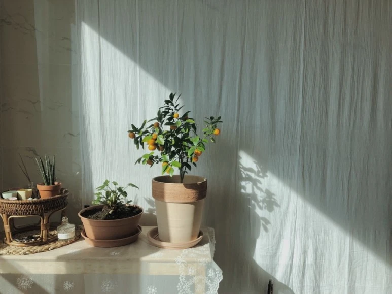 8B0E810F-CCFC-4036-8F03-20D5FB527DC9.jpg?type=w773