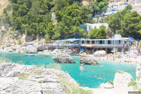 SE-51753c73-7551-4840-961d-dd113558fd65.jpg?type=w466