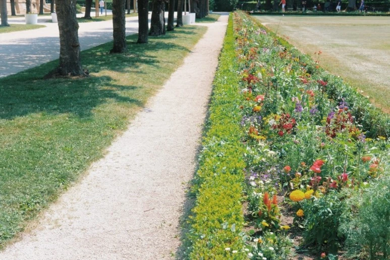 E864D133-5556-45ED-A565-9FACACFEE0B8.jpg?type=w773