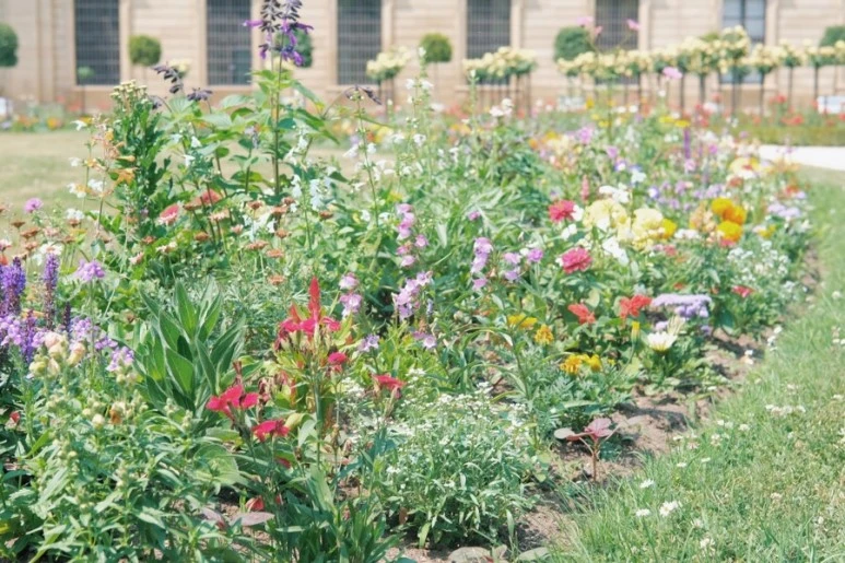 3BD69D4C-AF1D-42C4-B723-1B4B4C67C63B.jpg?type=w773