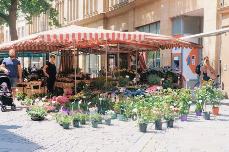 AAC5CD5C-0B6E-4616-986D-097E5A55588A.jpg?type=w773