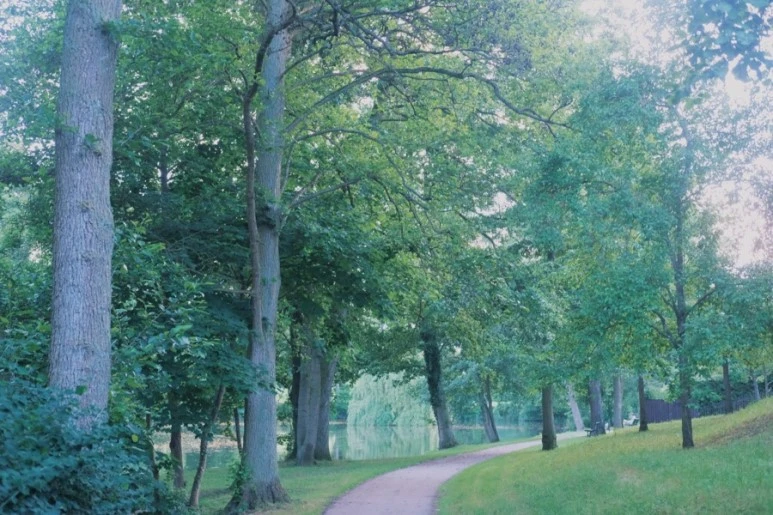 69438770-CC98-429E-82F5-5243A13A22E6.jpg?type=w773