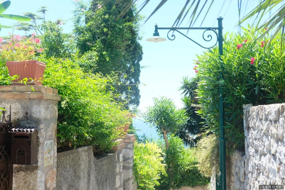 SE-2e9c3587-df78-4585-a7f3-3dcc20e91d9c.jpg?type=w966