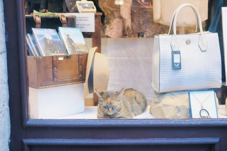 D4AD14E4-A4A0-4E6B-82DA-F51690D5F635.jpg?type=w773