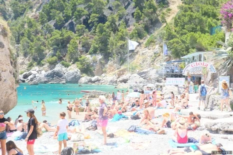 SE-b12e4c3d-44f3-46f8-a0ed-2b1b8d8ff318.jpg?type=w466