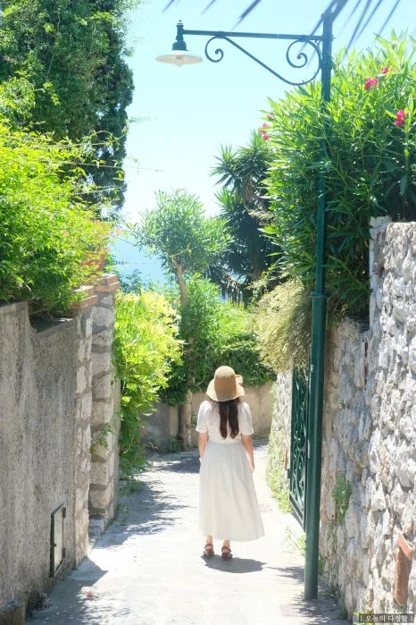 SE-058a7153-e261-4022-9153-1b3a88bb8c19.jpg?type=w466