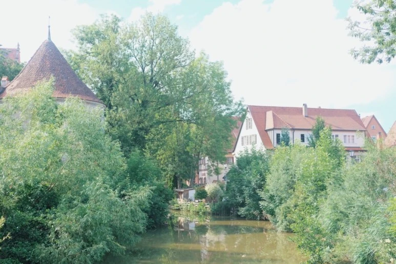 2D909F94-C3F2-488F-BB00-D8404D718C12.jpg?type=w773