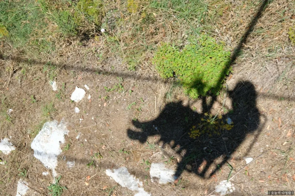 SE-25d9c987-2973-4719-b96b-d94529ec77df.jpg?type=w966